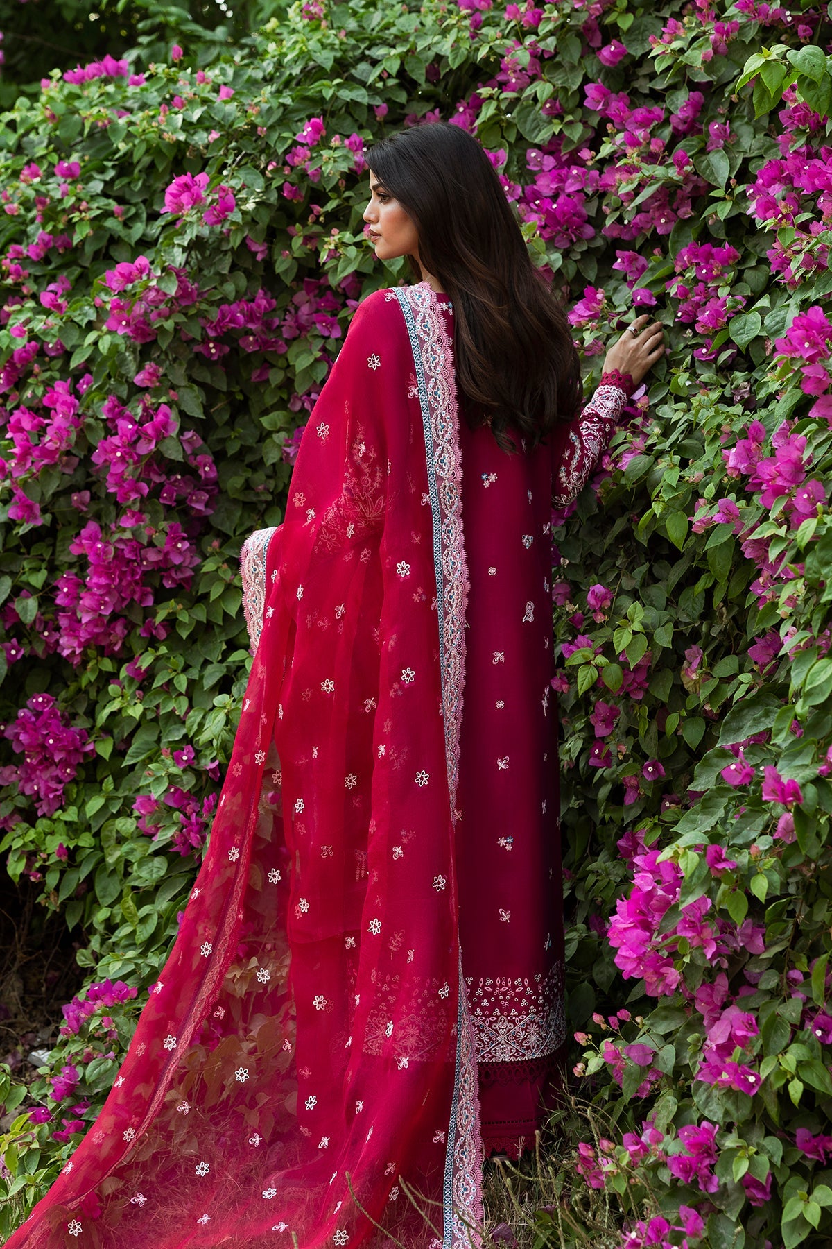 Afroze Luxury Lawn